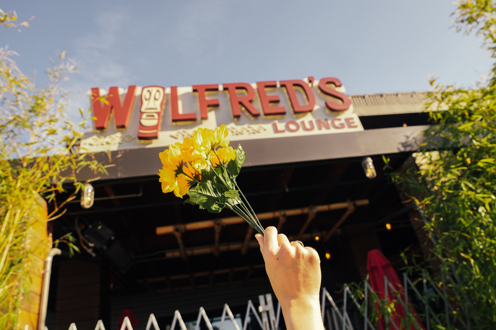 Adult holding yellow daffodil flowers with vintage lounge sign in background